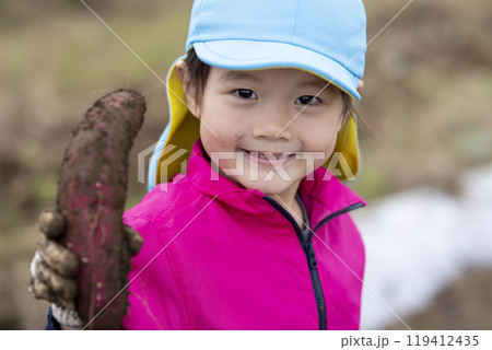 サツマイモを収穫する女の子 119412435