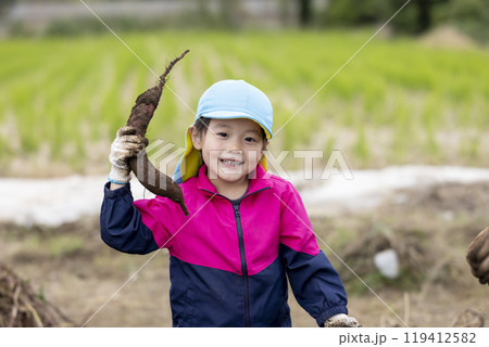 サツマイモを収穫する女の子 119412582