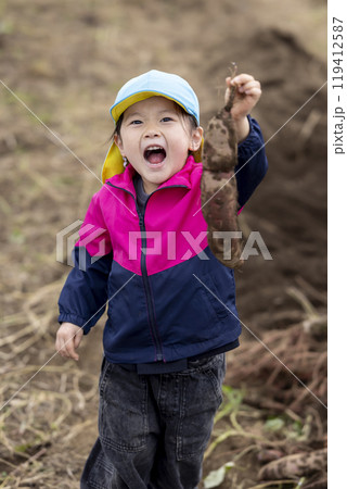 サツマイモを収穫する女の子 119412587