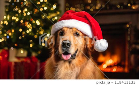 サンタ帽子をかぶったかわいい犬 119413133