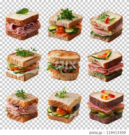 Delicious Sandwich Variety on White Background 119413309