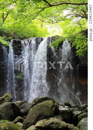 乙女の滝(栃木県) 乙女の滝(栃木県) 119413467