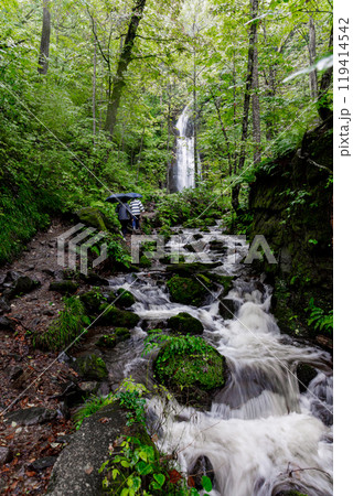 大雨の影響で水流が増し、豪快な姿の奥入瀬渓流雲井の滝 大雨の影響で水流が増し、豪快な姿の奥入瀬渓流雲井の滝 119414542