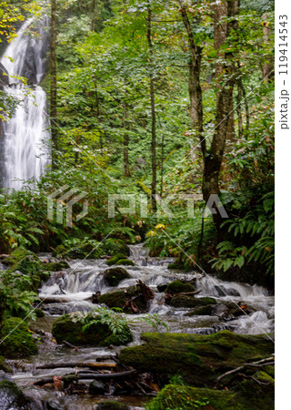 大雨の影響で水流が増し、豪快な姿の奥入瀬渓流雲井の滝 大雨の影響で水流が増し、豪快な姿の奥入瀬渓流雲井の滝 119414543