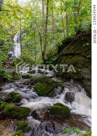 大雨の影響で水流が増し、豪快な姿の奥入瀬渓流雲井の滝 大雨の影響で水流が増し、豪快な姿の奥入瀬渓流雲井の滝 119414544