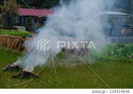 初秋の原風景　日向　彼岸花の里 119414646