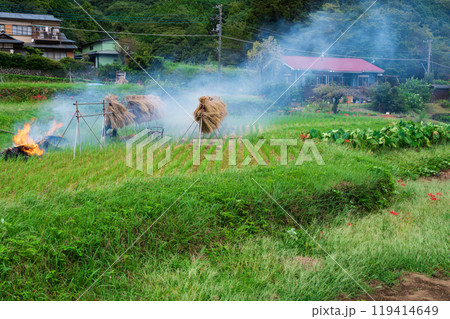 初秋の原風景　日向　彼岸花の里 119414649