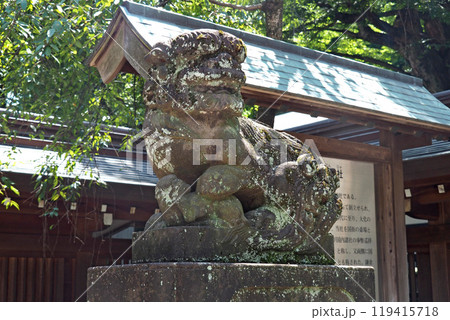 大國魂神社の狛犬【東京都府中市】 大國魂神社の狛犬【東京都府中市】 119415718