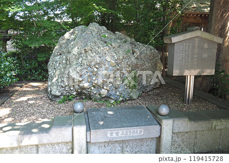 大國魂神社のさざれ石【東京都府中市】 119415728