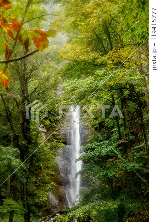 秋めいてきた風景に囲まれた美しい白布の滝 秋めいてきた風景に囲まれた美しい白布の滝 119415777