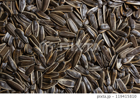 Non Salty Roasted Sunflower Seeds in Shell 119415810