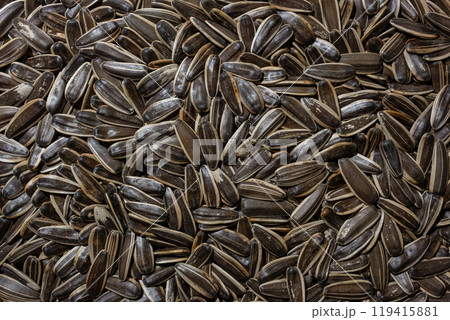 Non Salty Roasted Sunflower Seeds in Shell Non Salty Roasted Sunflower Seeds in Shell 119415881