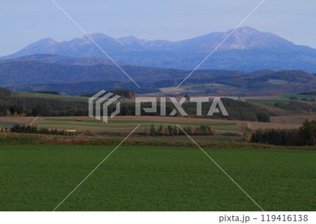 秋の旭岳をバックに秋まき小麦の風景 119416138