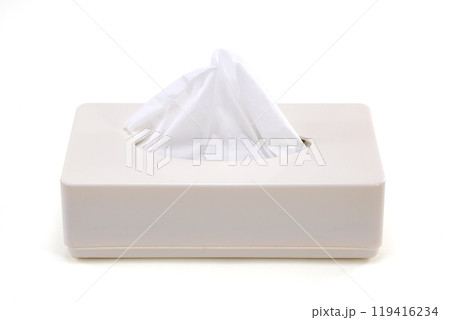 ティツシュ ティツシュ 119416234