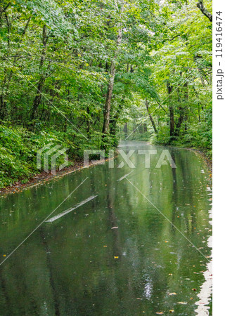 雨に濡れた道路が映し出す美しいリフレクションの世界 119416474