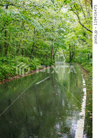 雨に濡れた道路が映し出す美しいリフレクションの世界 雨に濡れた道路が映し出す美しいリフレクションの世界 119416475