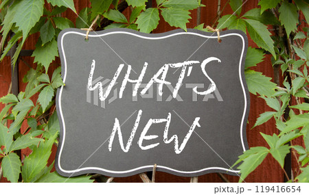 What is new symbol. Concept words What is new on black chalk blackboard. Beautiful red background with plants. Business and What is new concept. Copy space What is new symbol. Concept words What is new on black chalk blackboard. Beautiful red background with plants. Business and What is new concept. Copy space 119416654