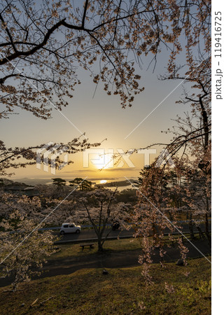 西行戻しの松公園 桜と日の出 西行戻しの松公園 桜と日の出 119416725