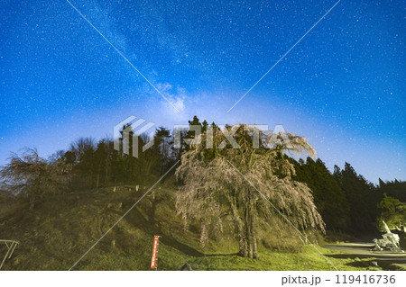 福田寺の糸桜と星空 119416736