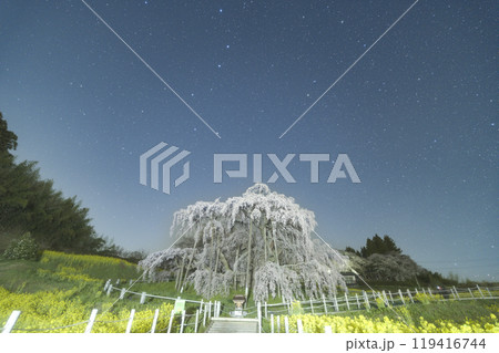 三春滝桜と星空 119416744