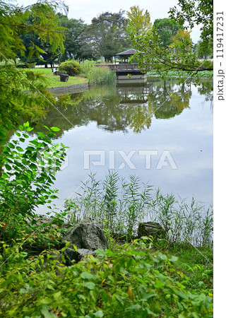 初秋の色づき始め　大池湖畔　城山公園　桶川市　　 119417231