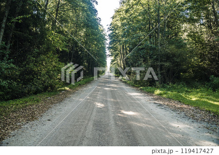 Forest dirt path. Forest and nature with empty road Forest dirt path. Forest and nature with empty road 119417427