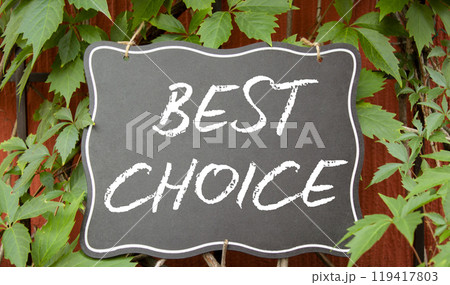 Best choice symbol. Blackboard with words Best choice. Beautiful red background with plants. Business and Best choice concept. Copy space. Best choice symbol. Blackboard with words Best choice. Beautiful red background with plants. Business and Best choice concept. Copy space. 119417803