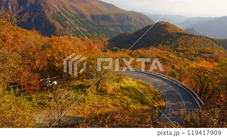 紅葉の日光いろは坂 119417909