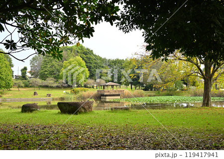 初秋の色づき始め　大池湖畔　城山公園　桶川市　　 119417941