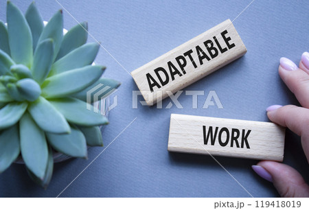Adaptable work symbol. Concept word Adaptable work on wooden blocks. Beautiful grey background with succulent plant. Business and Adaptable work concept. Copy space 119418019