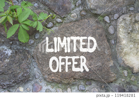 Limited Offer symbol. Concept word Limited Offer on stone wall. Beautiful stone background. Business and Limited Offer concept. Copy space 119418281