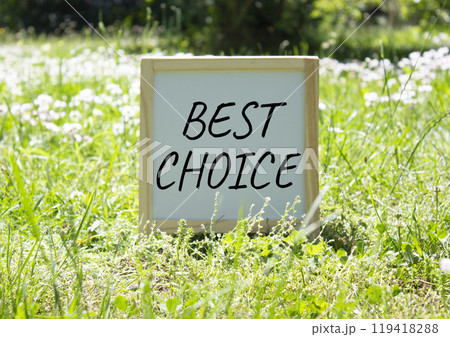 Best choice symbol. Best choice white chalk blackboard. Beautiful meadow background. Business and Best choice concept. Copy space. 119418288