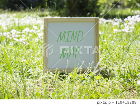 Mind Map symbol. Concept word Mind Map on white chalk background. Beautiful meadow background. Business and Mind Map concept. Copy space 119418289