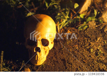 不気味な骸骨 119418336