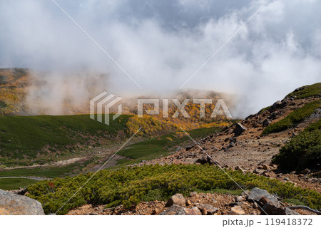 紅葉する森を抜けて 乗鞍岳 紅葉する森を抜けて 乗鞍岳 119418372