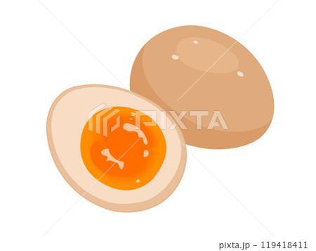 煮卵のベクターイラスト 119418411