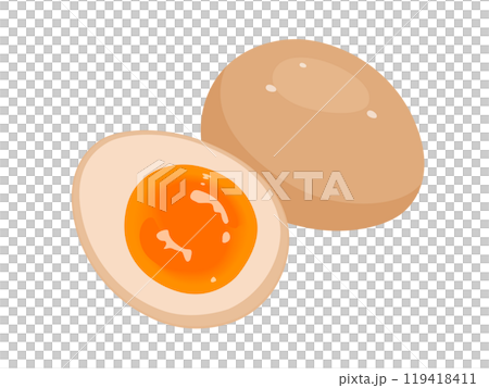 煮卵のベクターイラスト 119418411
