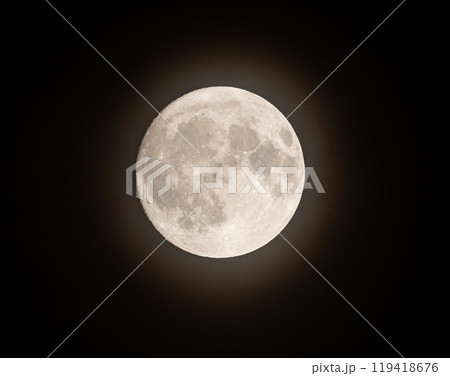 夜空に輝く月 119418676