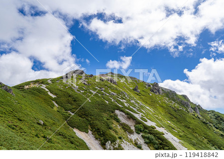 夏空の蓮華岳 119418842