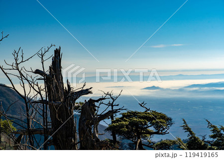 裏那須からの雲海 裏那須からの雲海 119419165