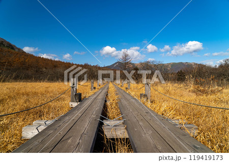 晩秋の沼ッ原園地 119419173