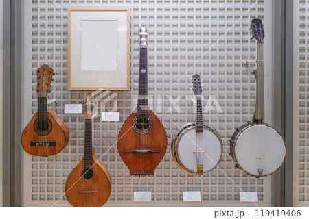 浜松楽器博物館 常設展示楽器 浜松楽器博物館 常設展示楽器 119419406