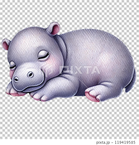 Cute sleeping hippo on a white isolated background Cute sleeping hippo on a white isolated background 119419585