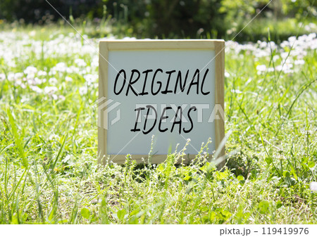 Original ideas symbol. Concept word Original ideas on white chalk background. Beautiful meadow background. Business and Original ideas concept. Copy space 119419976