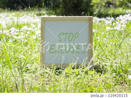 Stop excuses symbol. Concept word Stop excuses on white chalk background. Beautiful meadow background. Business and Stop excuses concept. Copy space 119420115