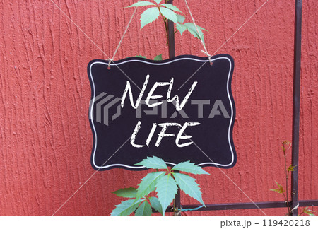 New life symbol. Concept words New life on black chalk background. Beautiful red background. Business and New life concept. Copy space. 119420218