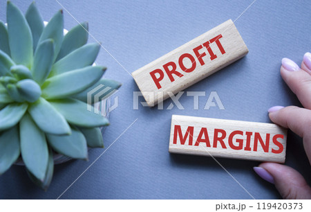 Profit Margins symbol. Concept word Profit Margins on wooden blocks. Businessman hand. Beautiful grey background with succulent plant. Business and Profit Margins concept. Copy space Profit Margins symbol. Concept word Profit Margins on wooden blocks. Businessman hand. Beautiful grey background with succulent plant. Business and Profit Margins concept. Copy space 119420373