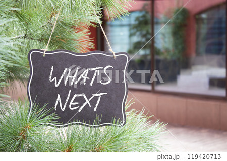 What is next symbol. Concept words What is next on black chalk blackboard. Beautiful background with shop and tree. Business and What is next concept. Copy space 119420713