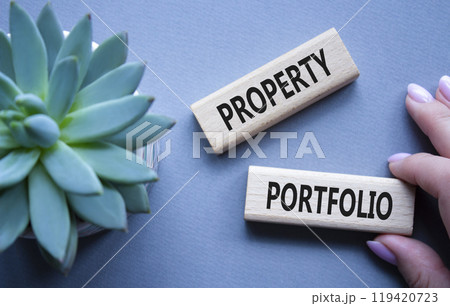 Property Portfolio symbol. Concept word Property Portfolio on wooden blocks. Businessman hand. Beautiful grey background with succulent plant. Business and Property Portfolio concept. Copy space Property Portfolio symbol. Concept word Property Portfolio on wooden blocks. Businessman hand. Beautiful grey background with succulent plant. Business and Property Portfolio concept. Copy space 119420723