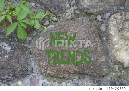New Trends symbol. Stone wall with words New Trends. Beautiful stone background. Business and New Trends concept. Copy space. 119420823